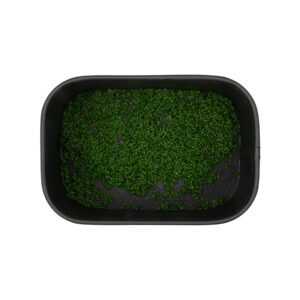Liquid Method Feeder BaitNow - VOO-DOO Hybrid - obrazek 3